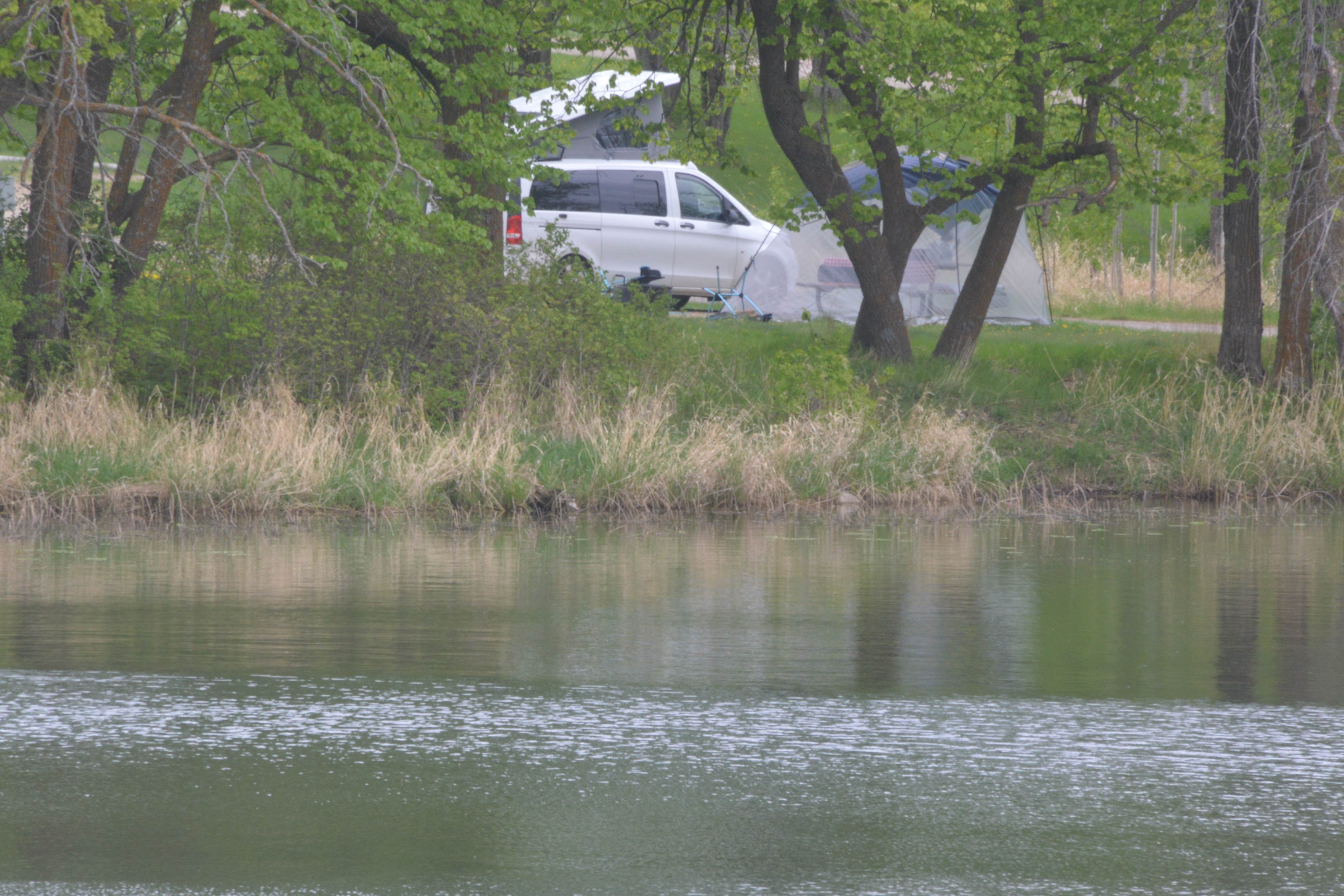 Lee D.'s photo of rv camping at Grass Lake Campground — Maplewood State Park near Erhard, MN