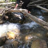 Review photo of Payson Lakes by Paige J., August 24, 2017