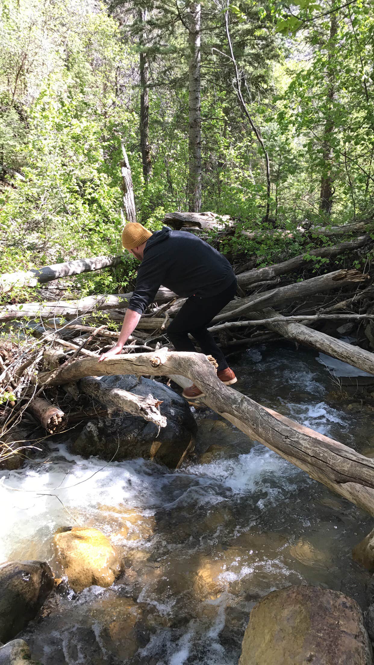 Camper submitted image from Payson Lakes - 2