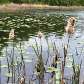 Review photo of Maplewood State Park Campground by Lee D., December 10, 2019