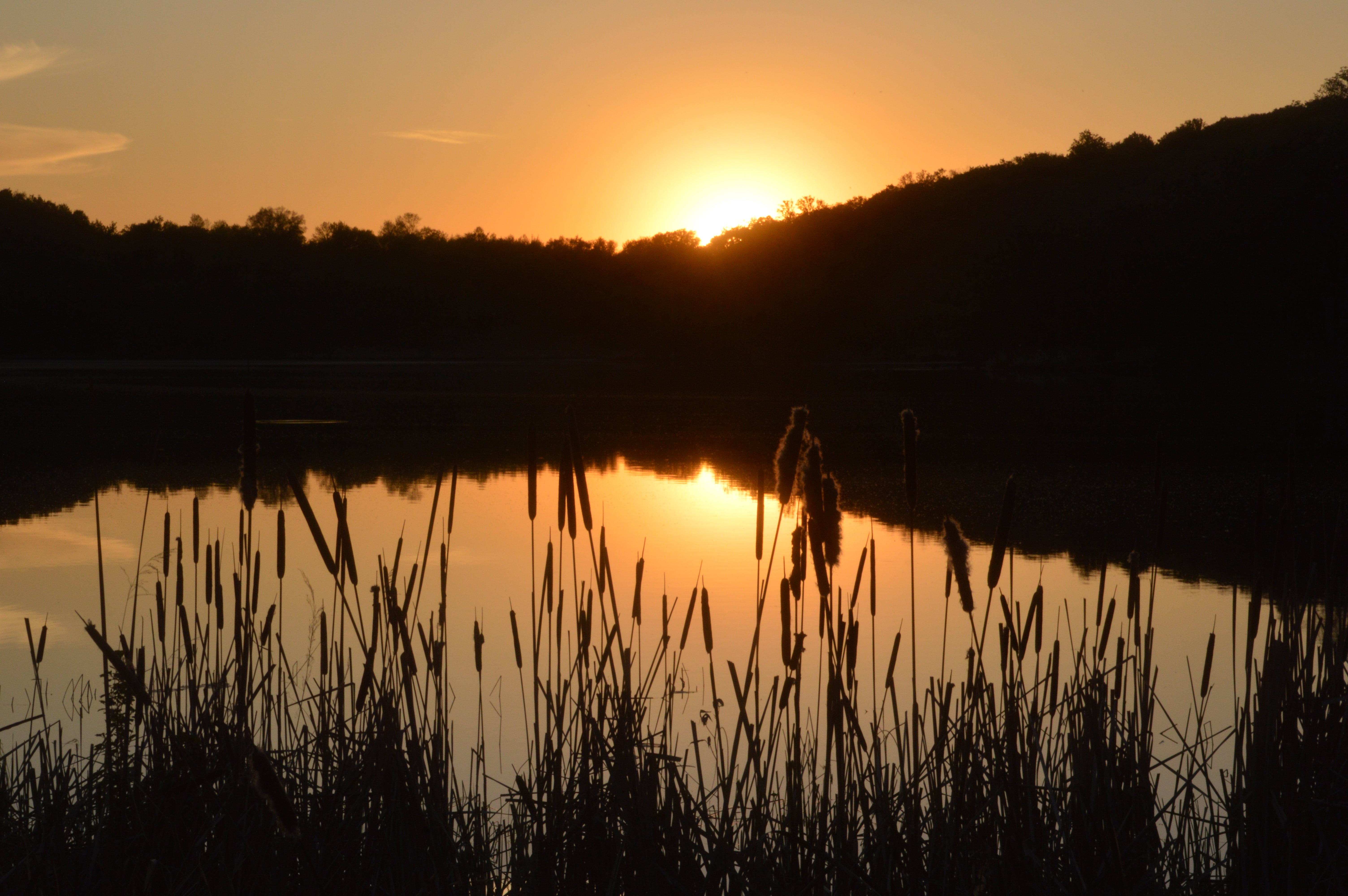 Gorgeous sunset along Grass Lake