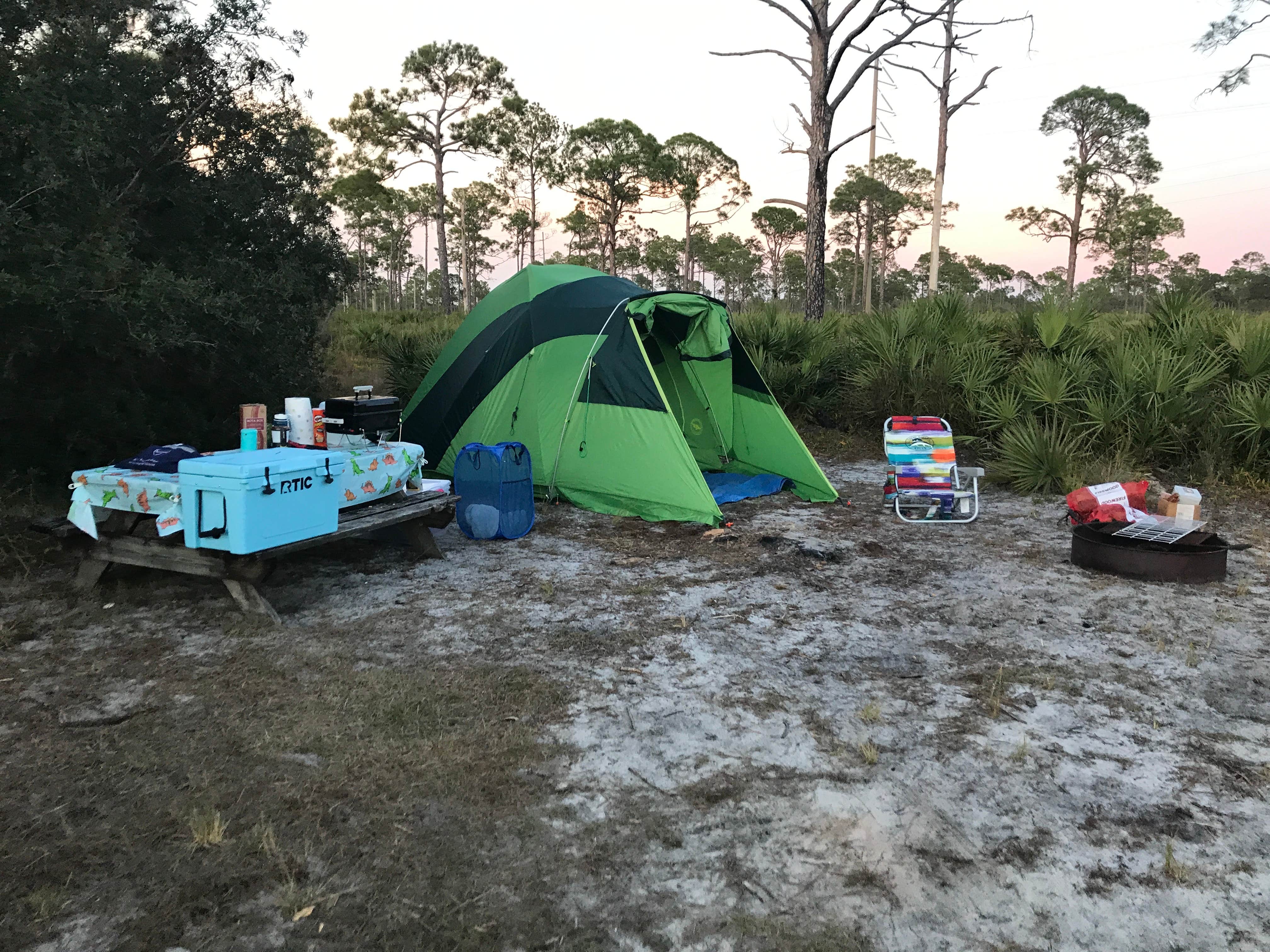 Jennifer L.'s photo at Highlands Hammock State Park Campground near Nalcrest, FL