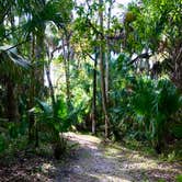 Review photo of Highlands Hammock State Park by Jennifer L., December 10, 2019