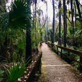 Review photo of Highlands Hammock State Park by Jennifer L., December 10, 2019