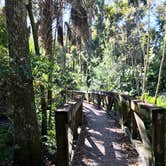 Review photo of Highlands Hammock State Park by Jennifer L., December 10, 2019