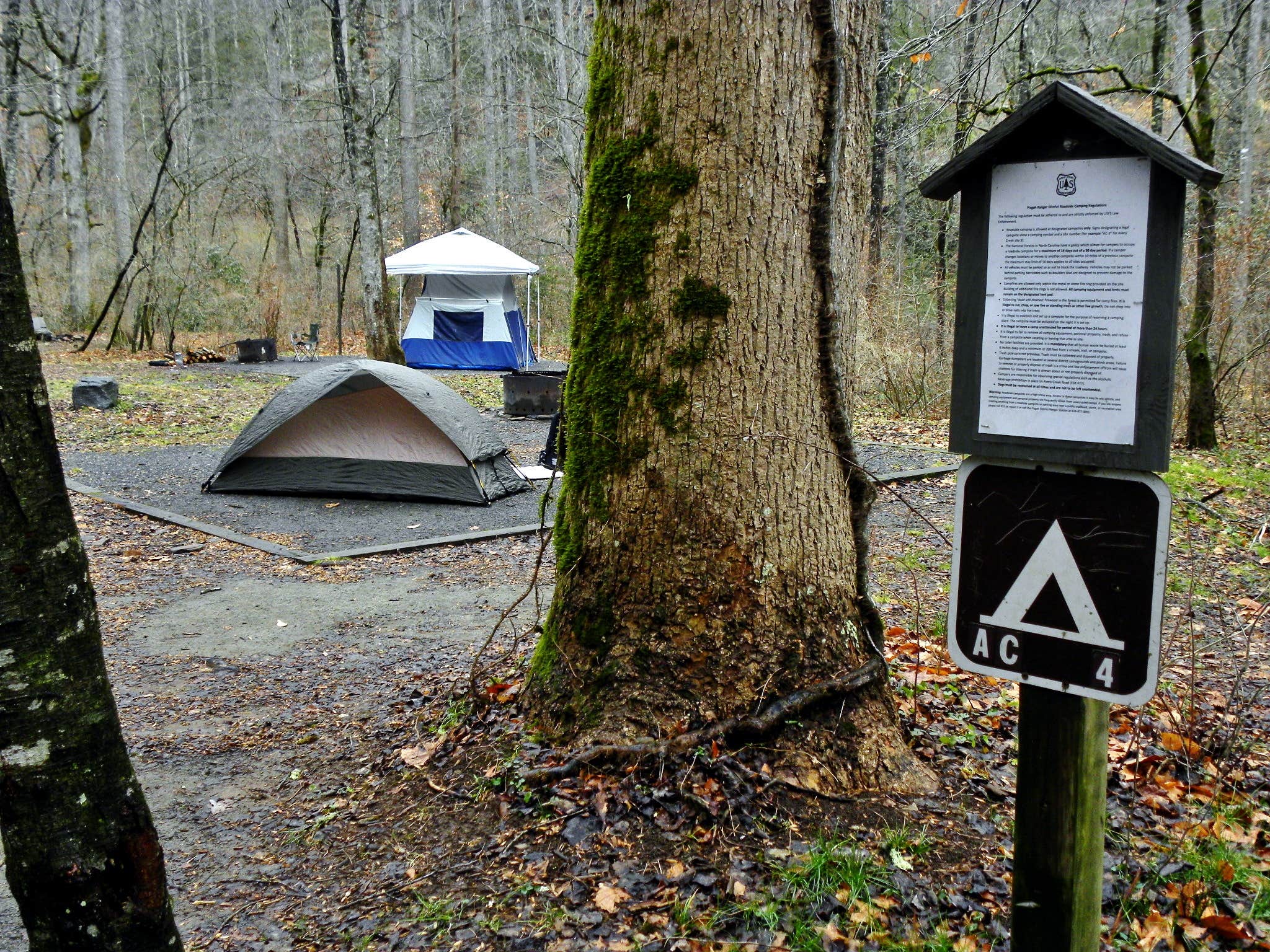 Camper submitted image from Avery Creek Roadside Camping - 3