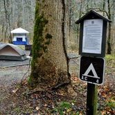 Review photo of Avery Creek Roadside Camping by Myron C., December 10, 2019