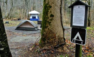 Myron C.'s photo at Avery Creek Roadside Camping near Pisgah Forest, NC