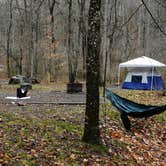 Review photo of Avery Creek Roadside Camping by Myron C., December 10, 2019