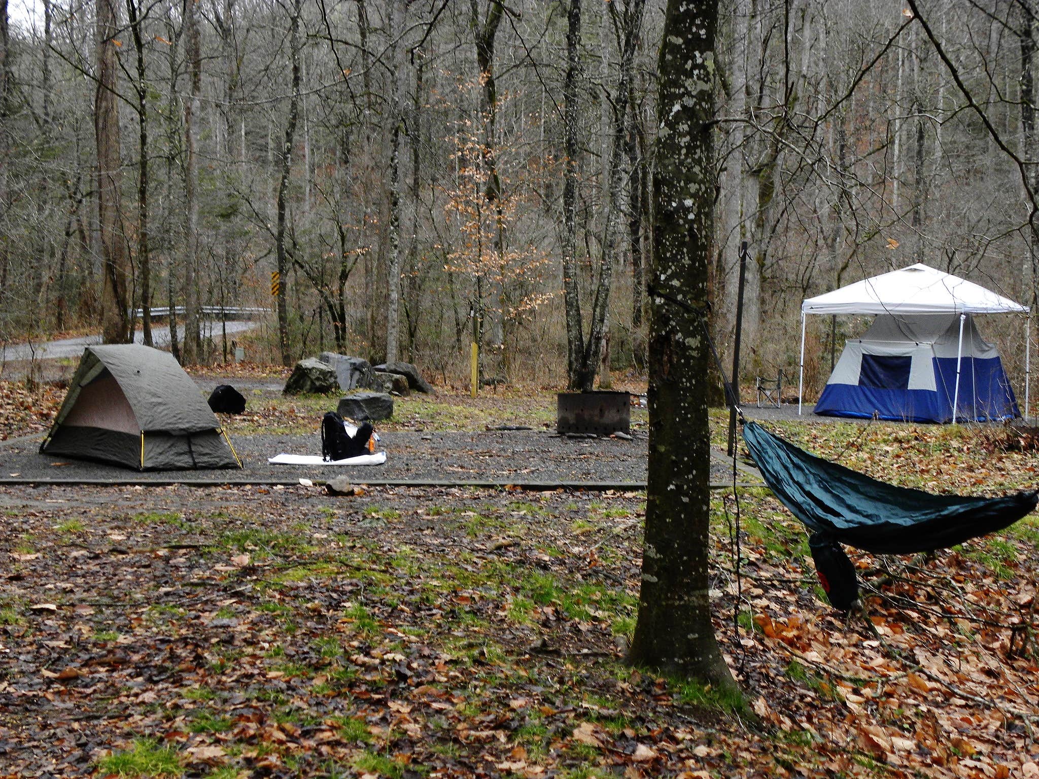 Camper submitted image from Avery Creek Roadside Camping - 4