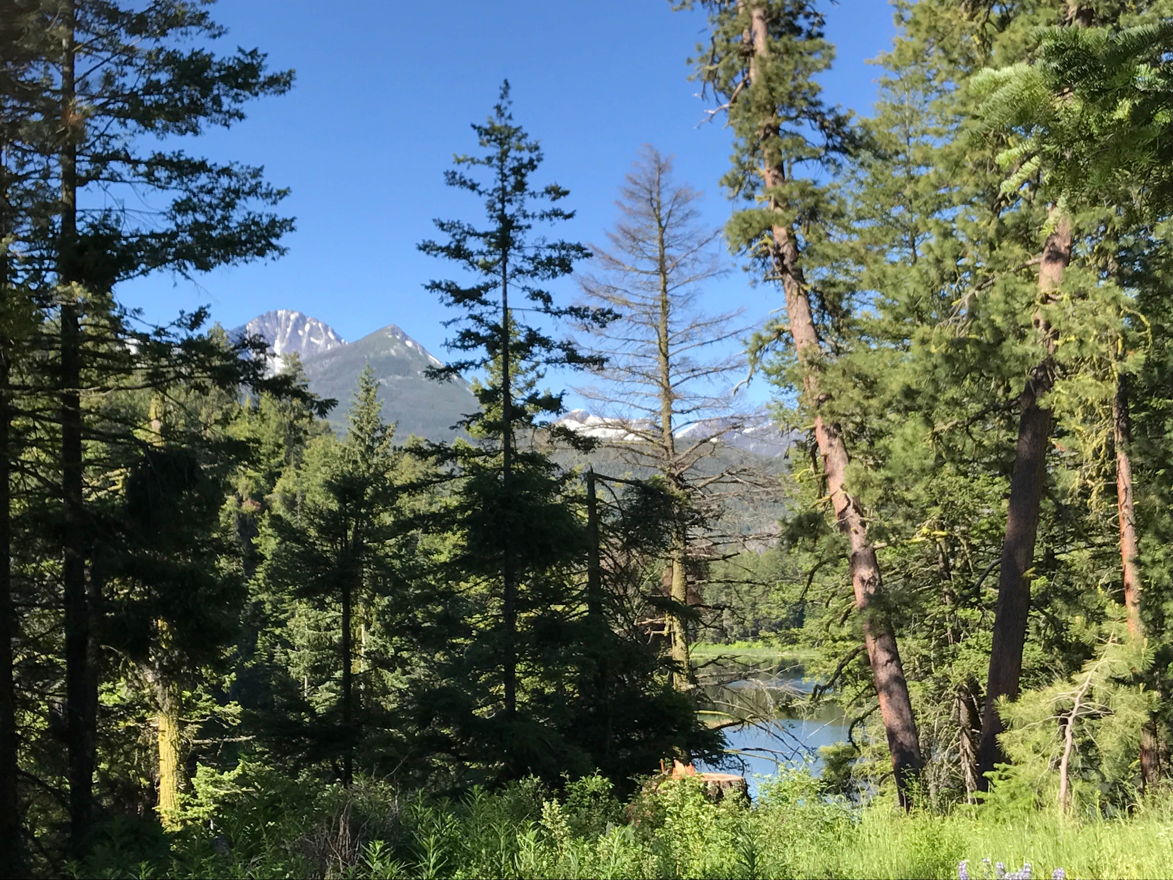Camper submitted image from Black Pine Lake Campground - 1