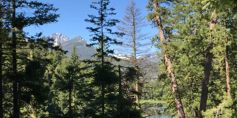 Camper submitted image from Black Pine Lake Campground