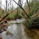 Review photo of Avery Creek Roadside Camping by Myron C., December 10, 2019