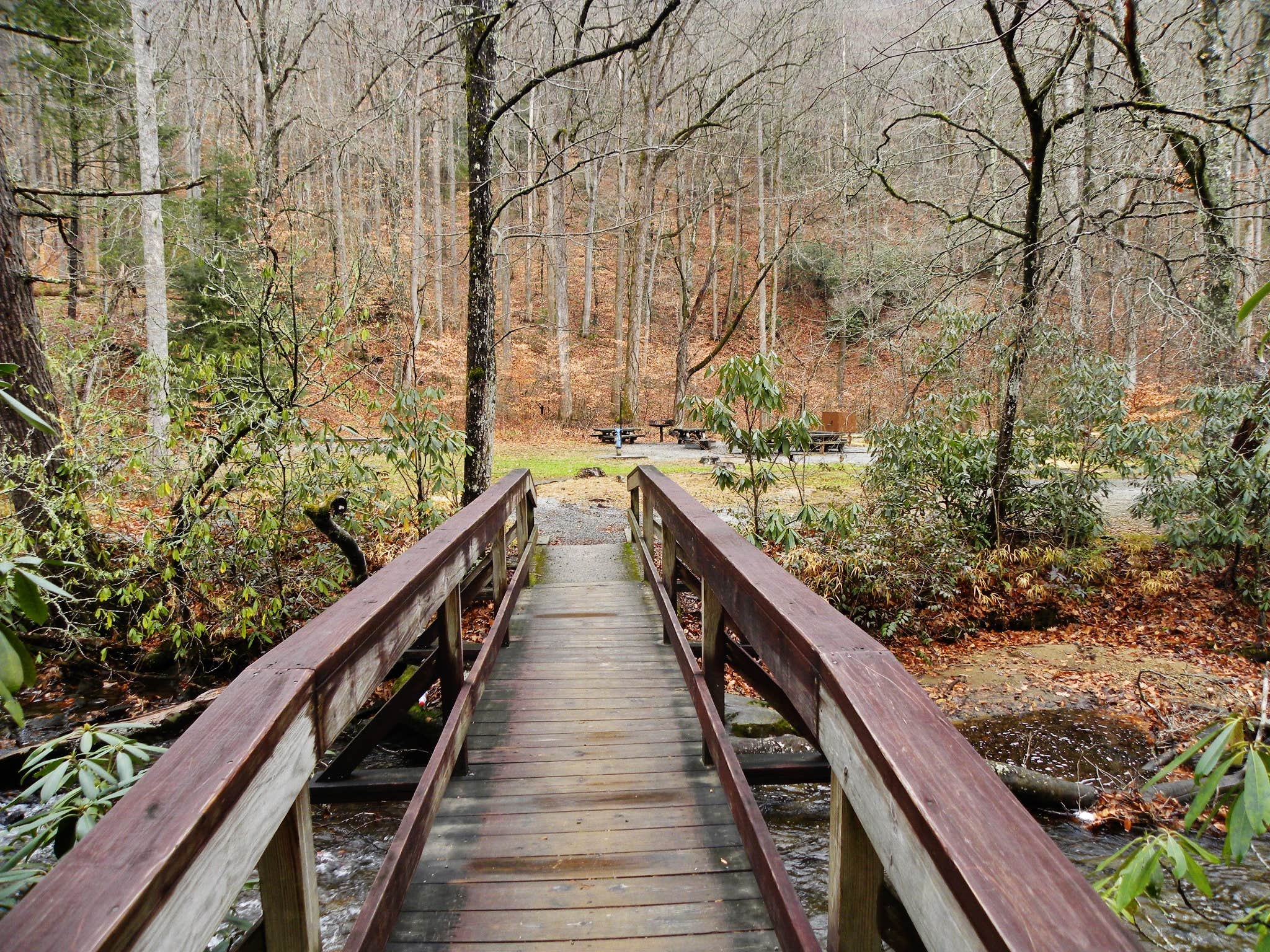 Camper submitted image from Avery Creek Roadside Camping - 2