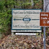 Review photo of Avery Creek Roadside Camping by Myron C., December 10, 2019