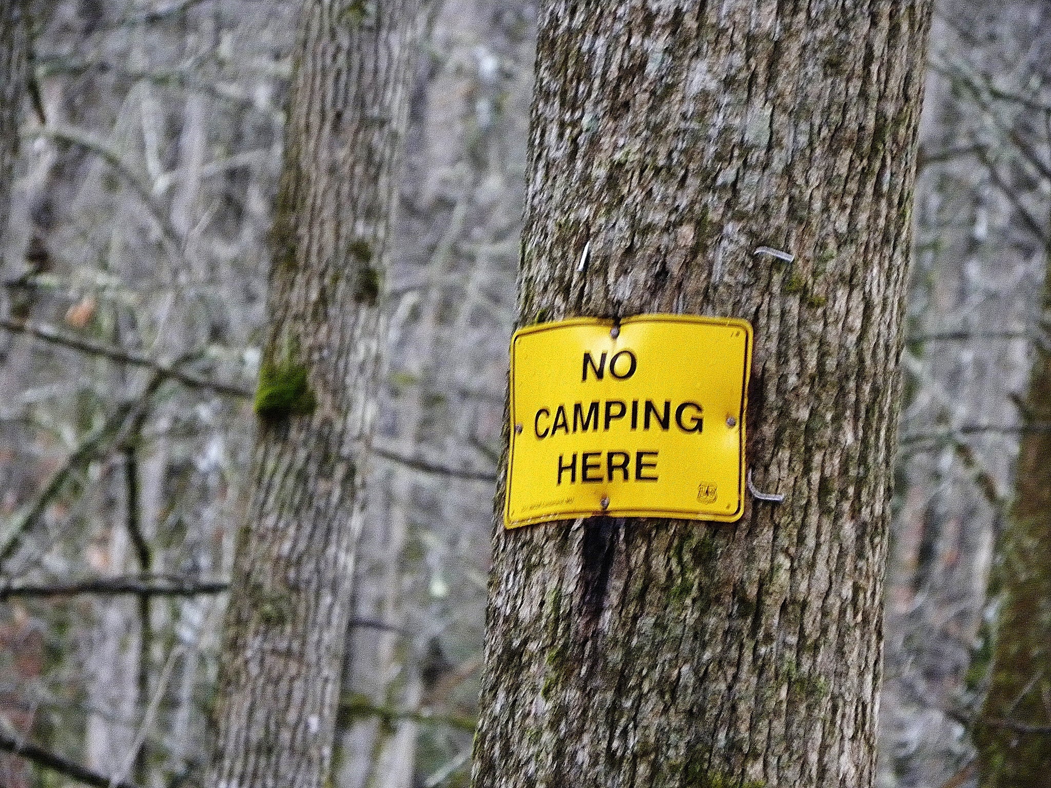 You will know where NOT to camp because of the signs.