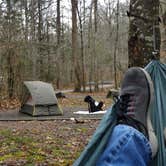 Review photo of Avery Creek Roadside Camping by Myron C., December 10, 2019