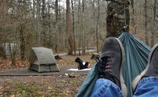 Myron C.'s photo at Avery Creek Roadside Camping near Penrose, NC
