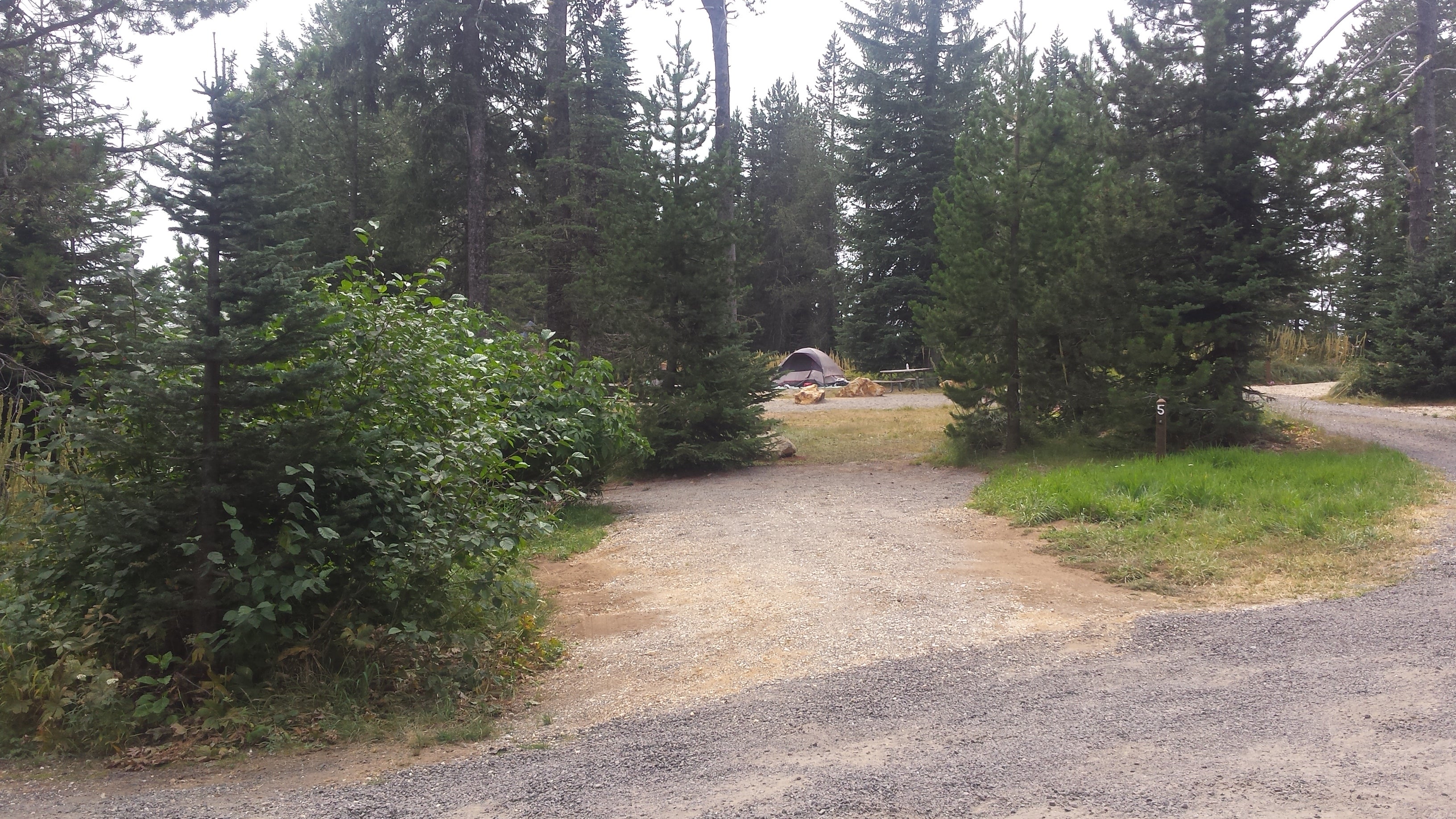 Camper submitted image from Bald Knob Campground — Mount Spokane State Park - 2