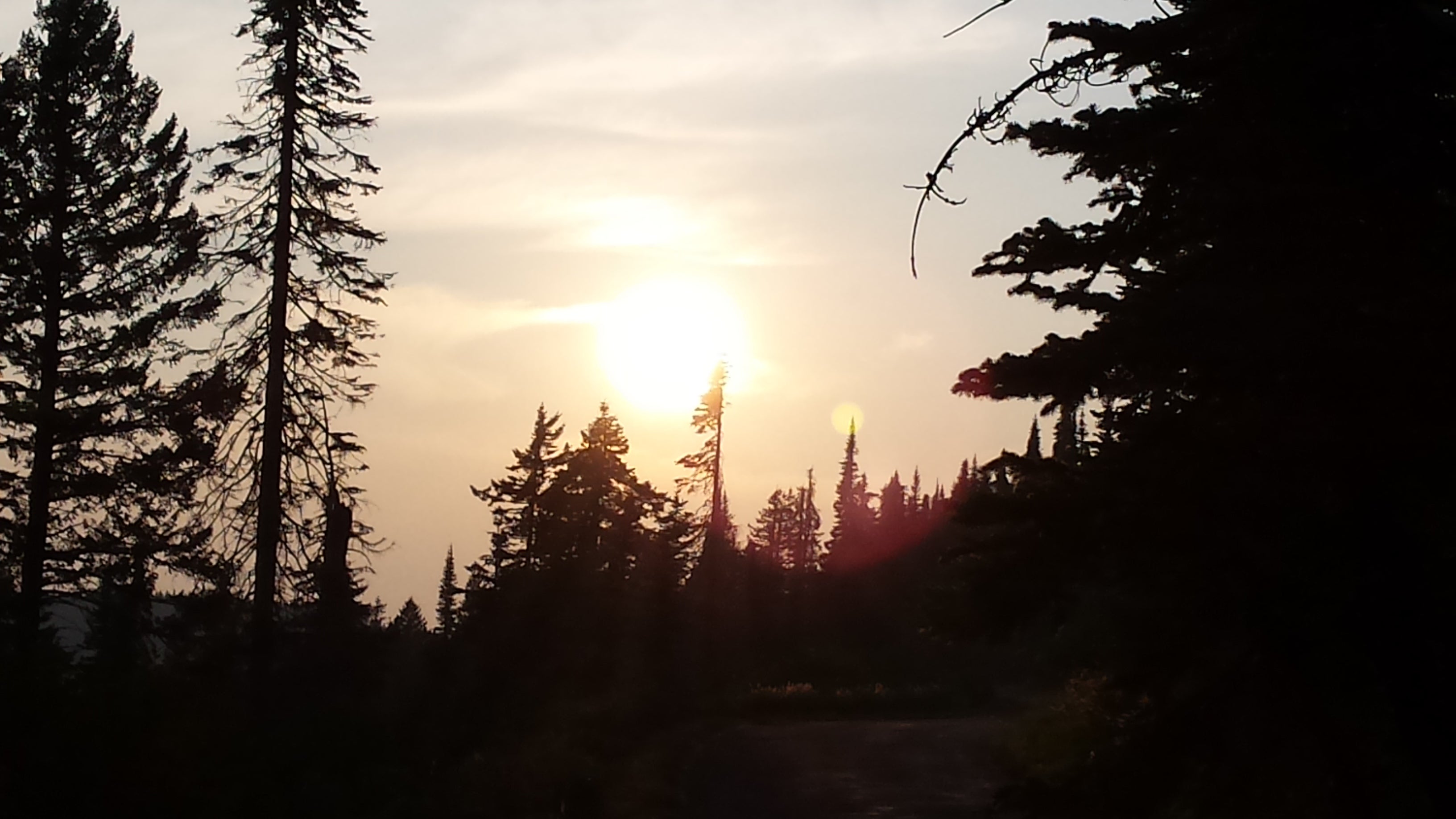 Camper submitted image from Bald Knob Campground — Mount Spokane State Park - 1