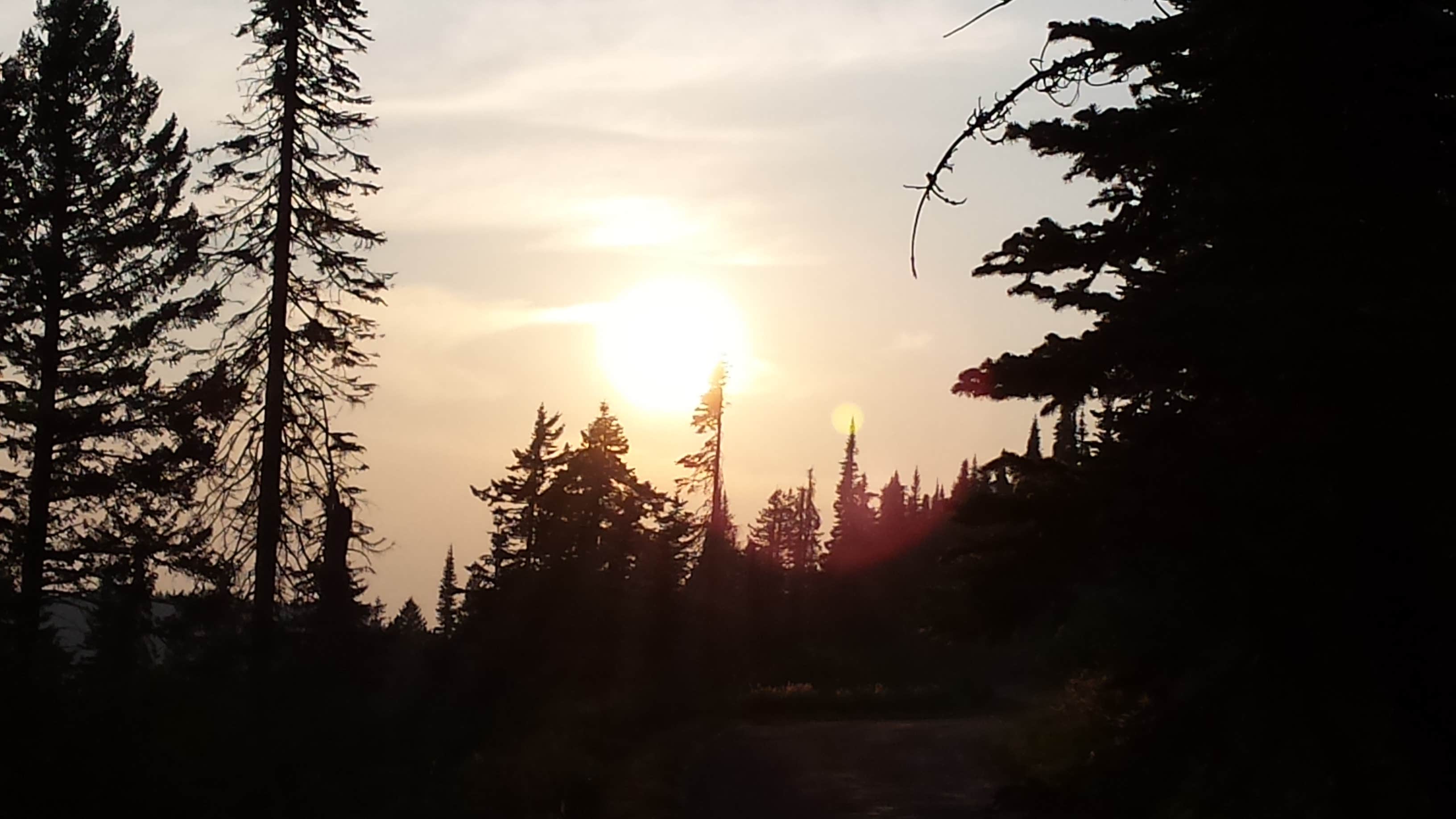 Bald Knob Campground — Mount Spokane State Park Mead, WA