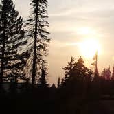 Review photo of Bald Knob Campground — Mount Spokane State Park by Michaela D., August 24, 2017