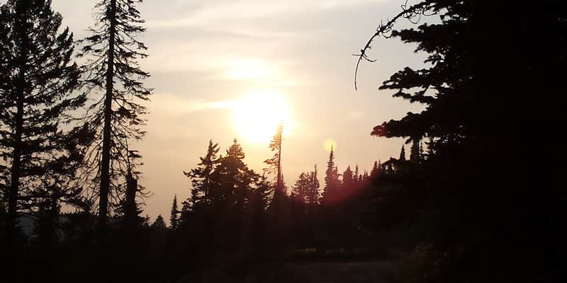 Camper submitted image from Bald Knob Campground — Mount Spokane State Park