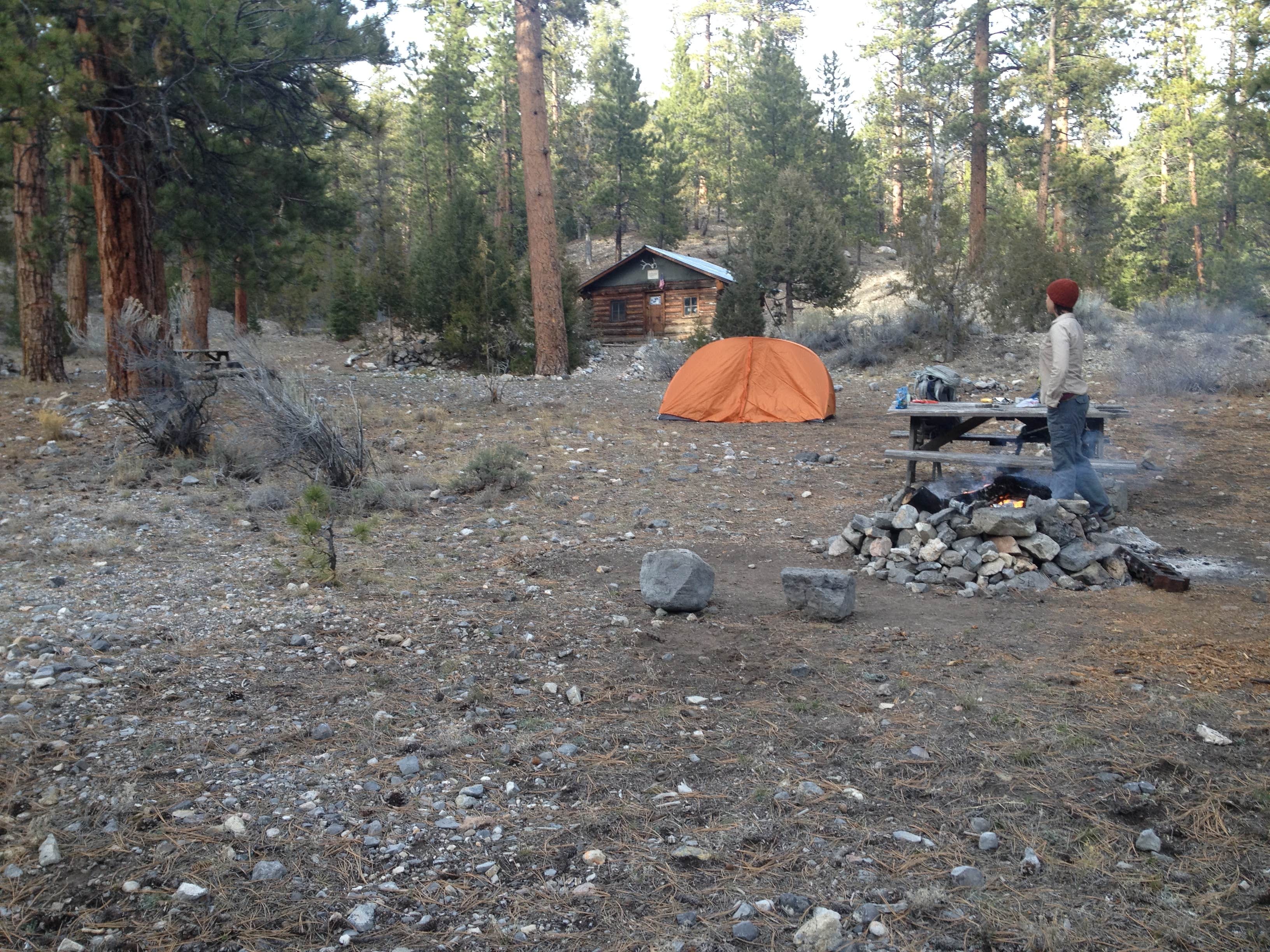 Laura O.'s photo at Desert National Wildlife Range near Round Mountain, NV