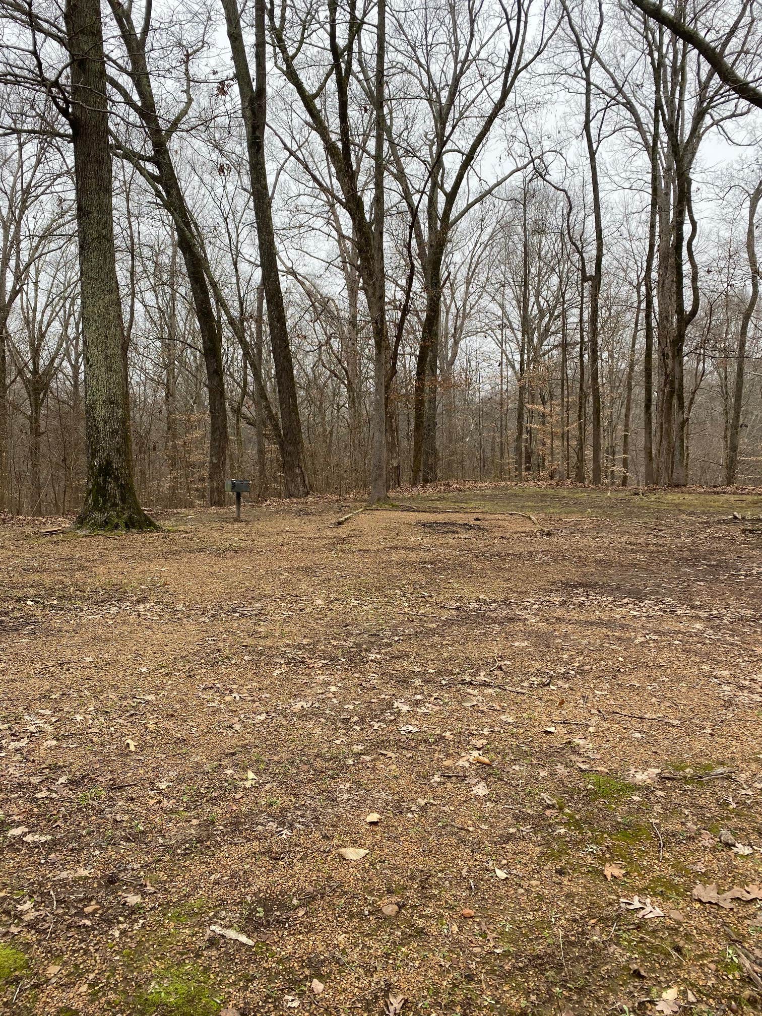 Camper-submitted photo at Maple Flat Group Campground near Lake Cormorant, MS