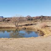 Review photo of Escondida Lake Park & Campground by Jean C., December 10, 2019