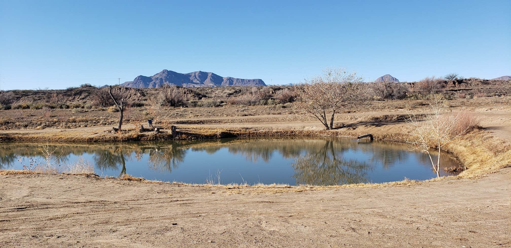 Camper submitted image from Escondida Lake Park & Campground - 2