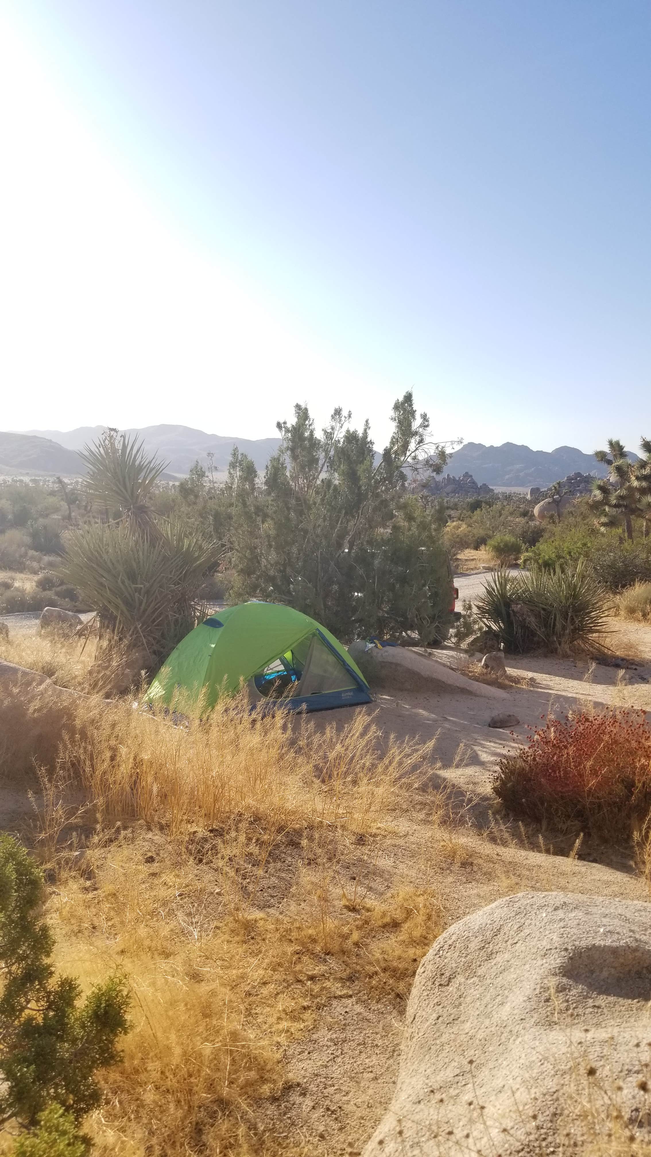 Heather P.'s photo at Ryan Campground — Joshua Tree National Park near Joshua Tree National Park