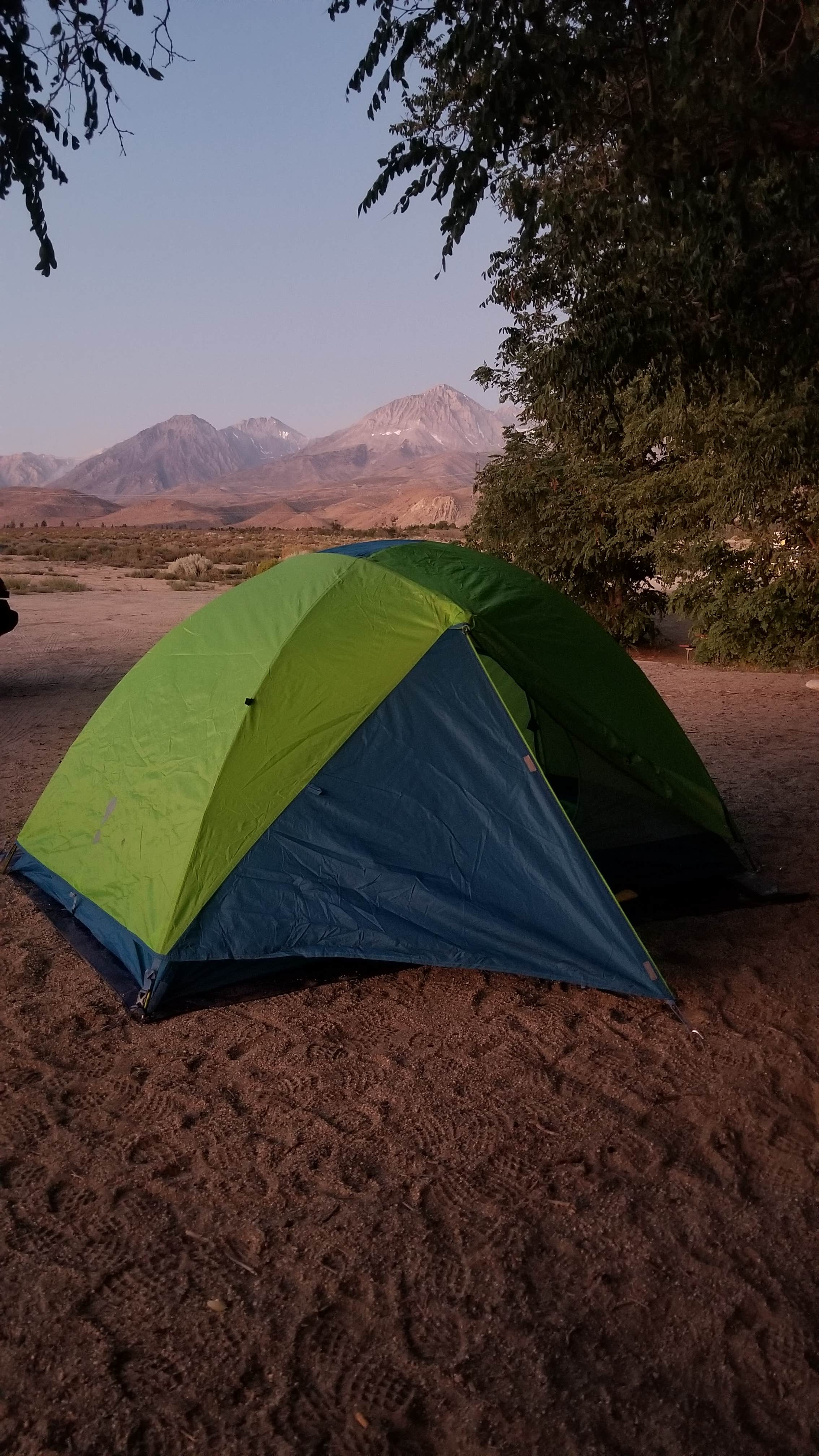 Heather P.'s photo at Baker Creek Campground near Dyer, NV