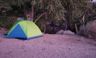 Heather P.'s photo at Baker Creek Campground near Big Pine, CA