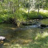 Review photo of Lundy Canyon Campground by Heather P., December 10, 2019