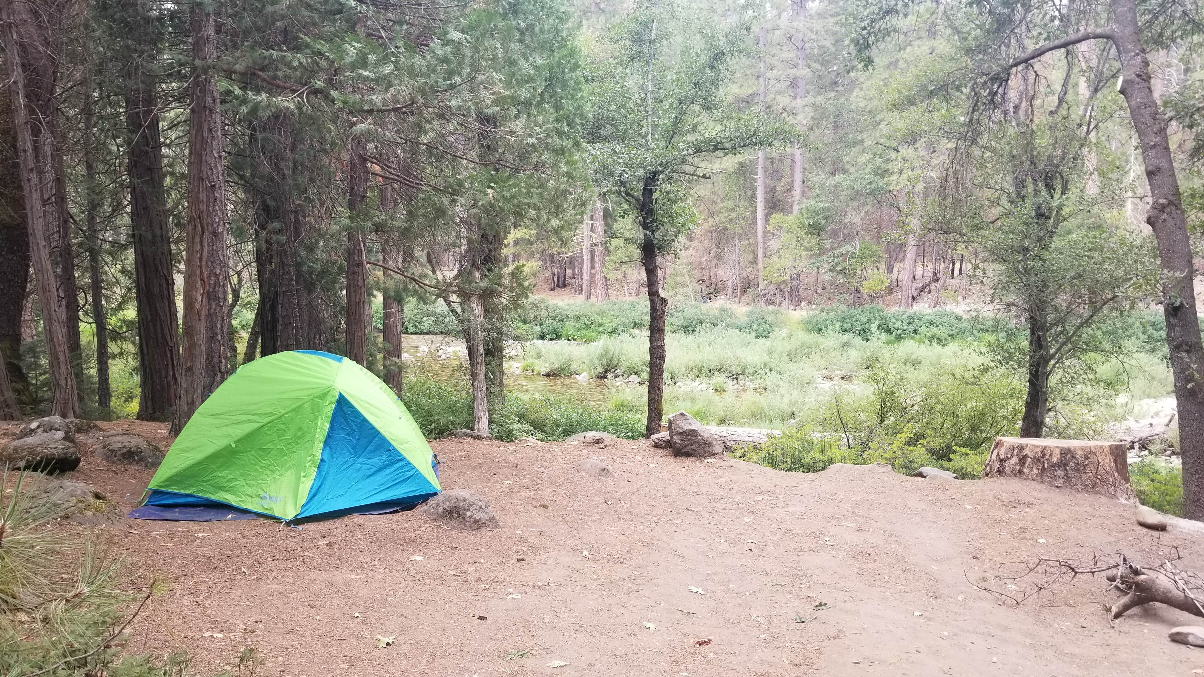 Heather P.'s photo at Wawona Campground — Yosemite National Park near El Portal, CA