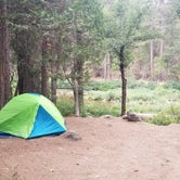 Review photo of Wawona Campground — Yosemite National Park by Heather P., December 10, 2019