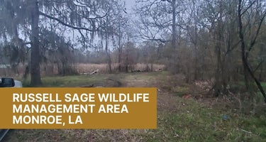 Russell Sage Wildlife Management Area