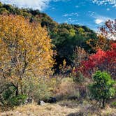 Review photo of Lost Maples State Natural Area by Troy W., December 11, 2019