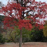 Review photo of Lost Maples State Natural Area by Troy W., December 11, 2019