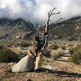 Review photo of Alabama Hills Recreation Area by C N., December 11, 2019