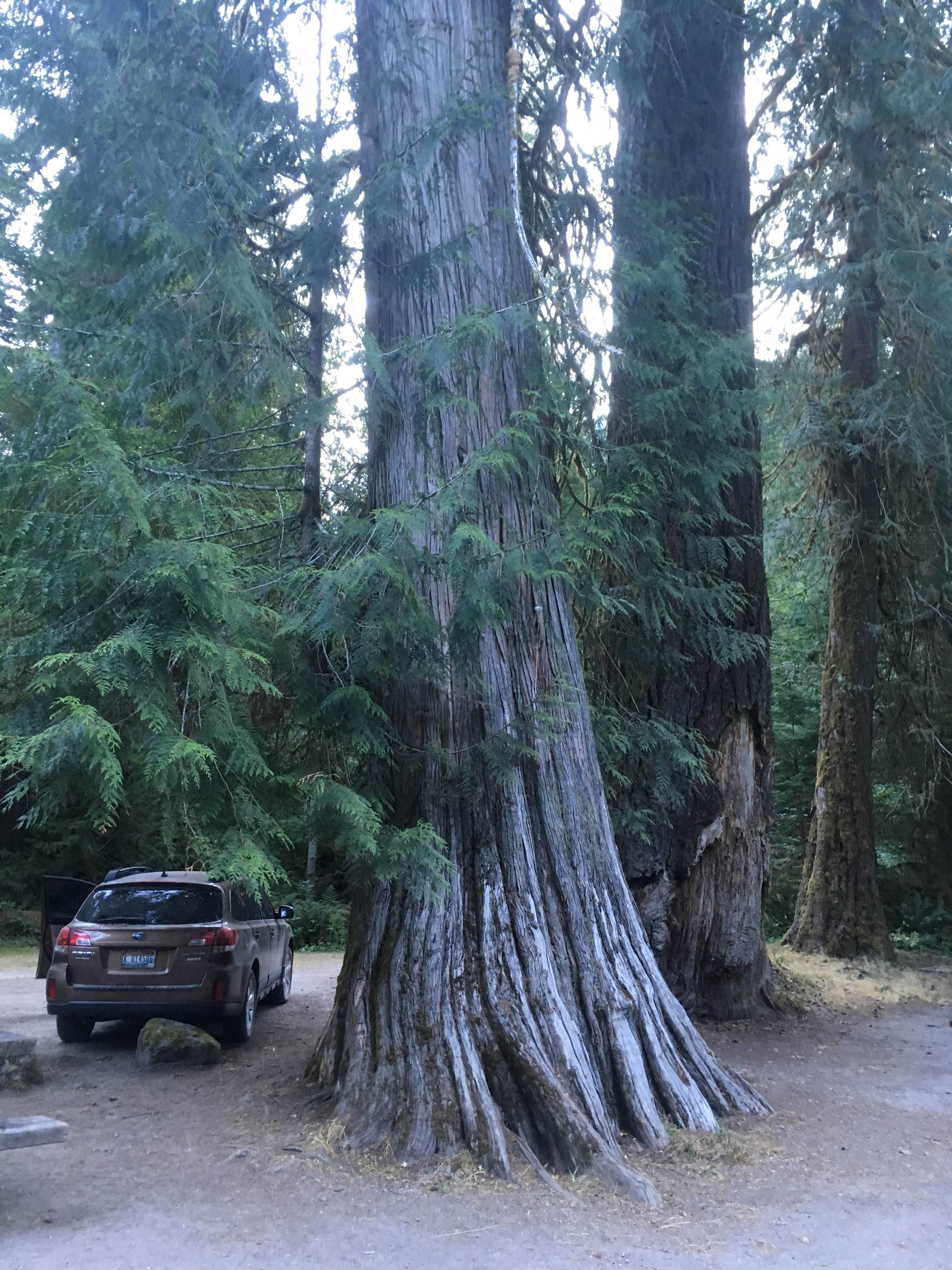Camper-submitted photo at Marble Creek Campground near North Cascades National Park
