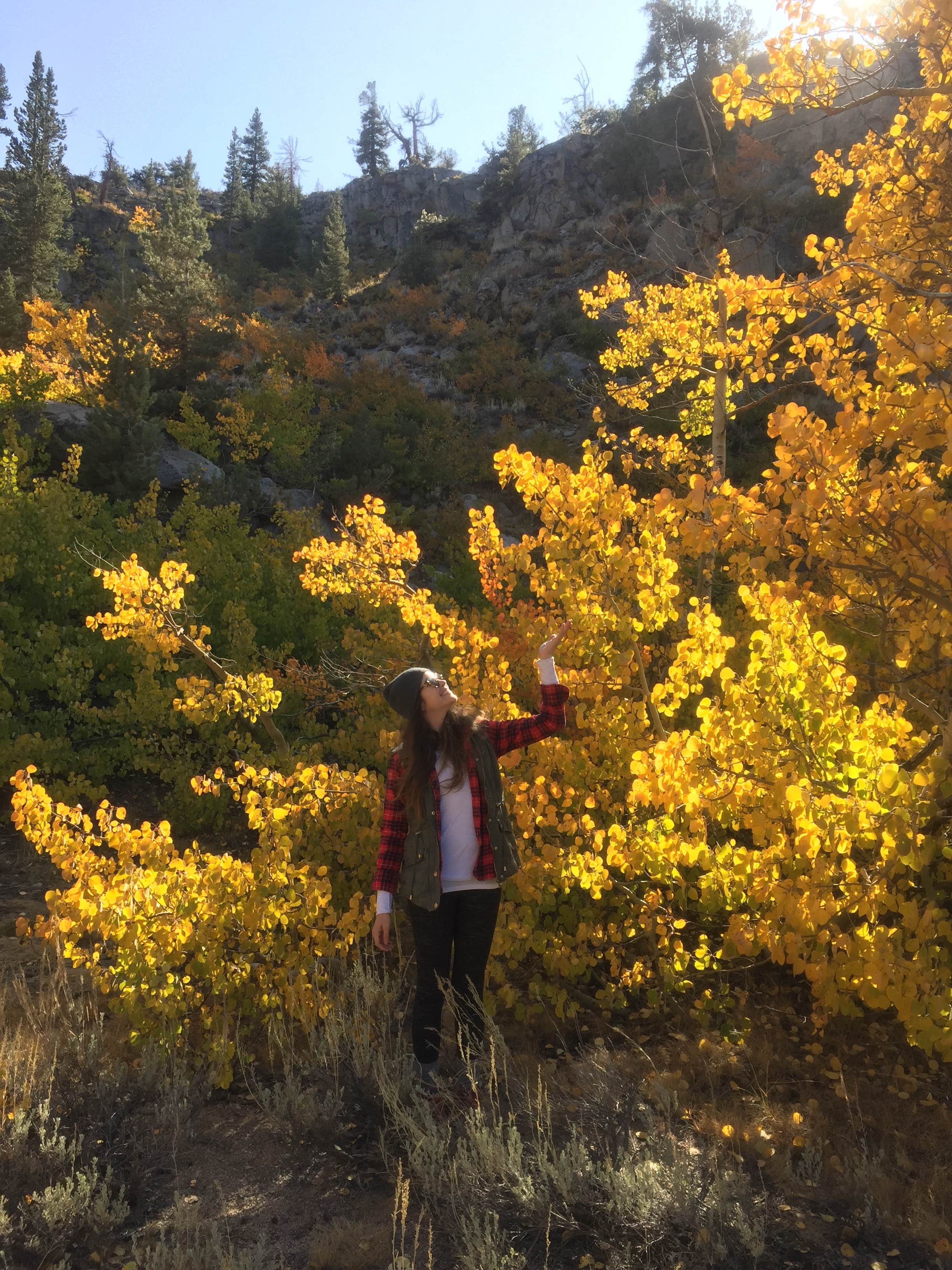 Camper-submitted photo at Sabrina Campground near Big Pine, CA