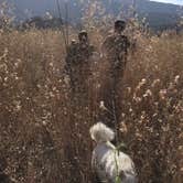 Review photo of Cachuma Lake Recreation Area by C N., December 11, 2019