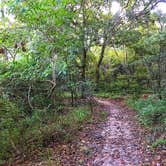 Review photo of Chehaw Park Campground by Travyl Couple !., December 11, 2019