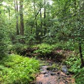 Review photo of Don Carter State Park Campground by Travyl Couple !., December 11, 2019