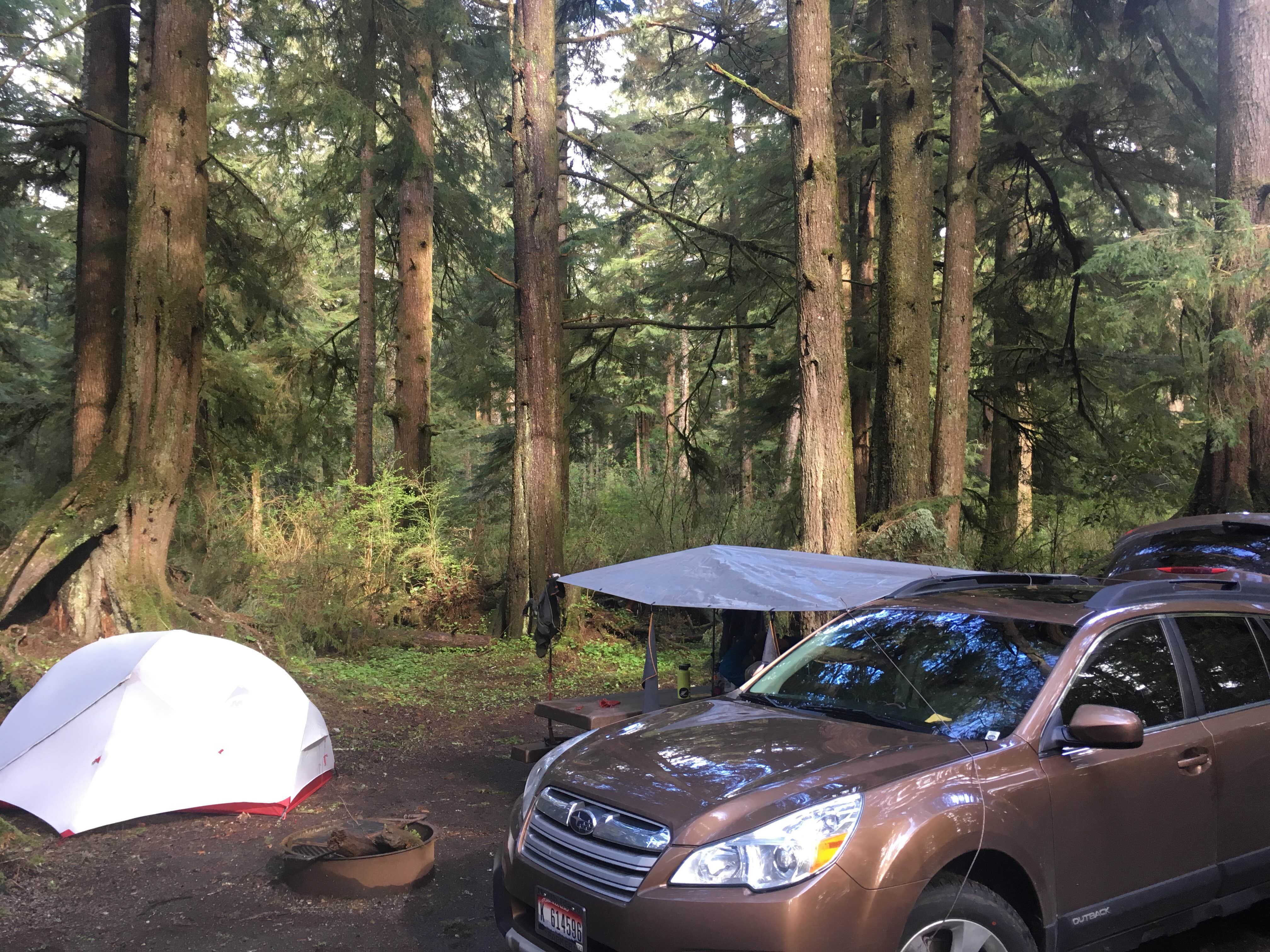 Camper-submitted photo at Mora Campground — Olympic National Park in Washington