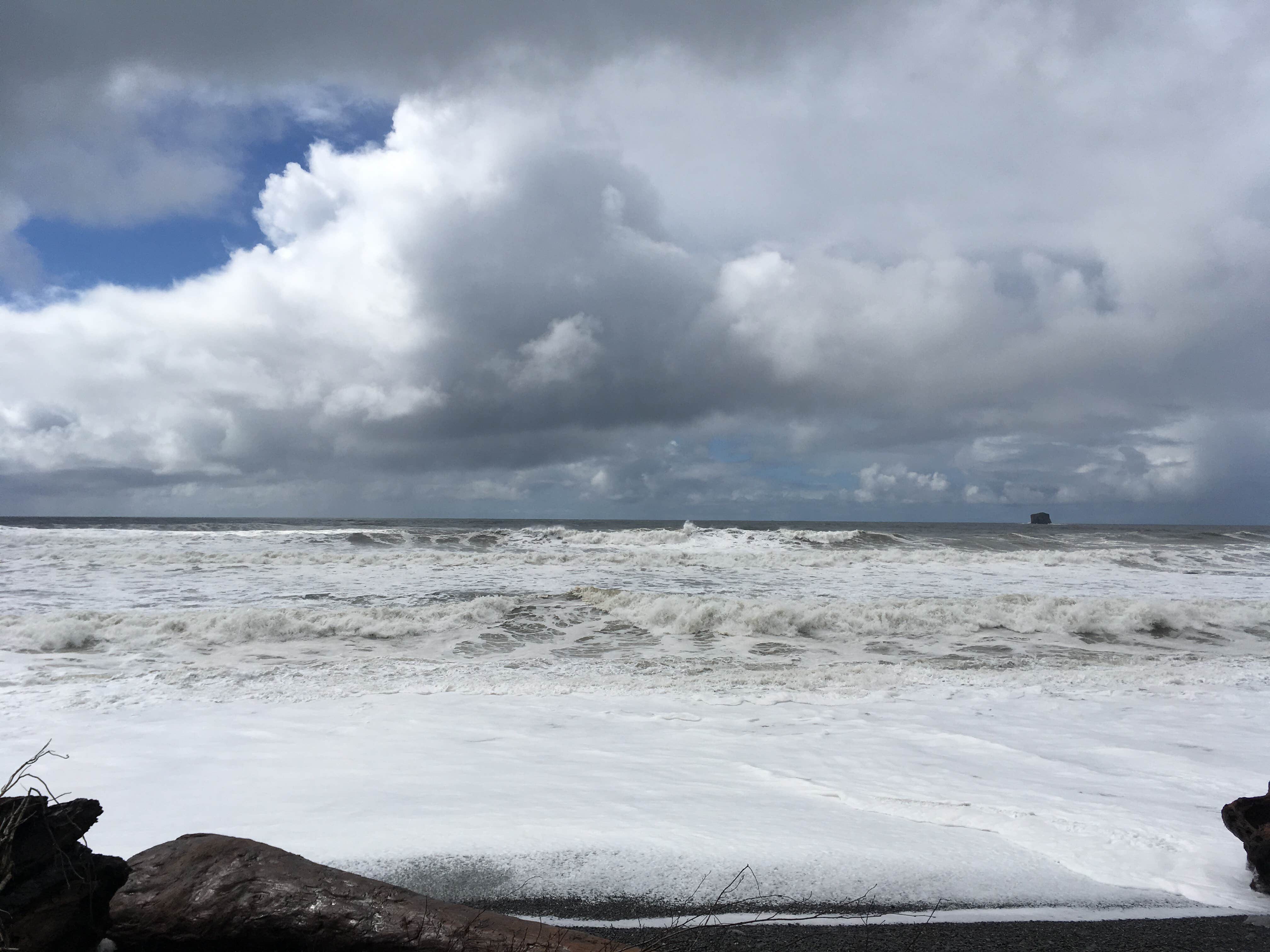 Mora Campground — Olympic National Park