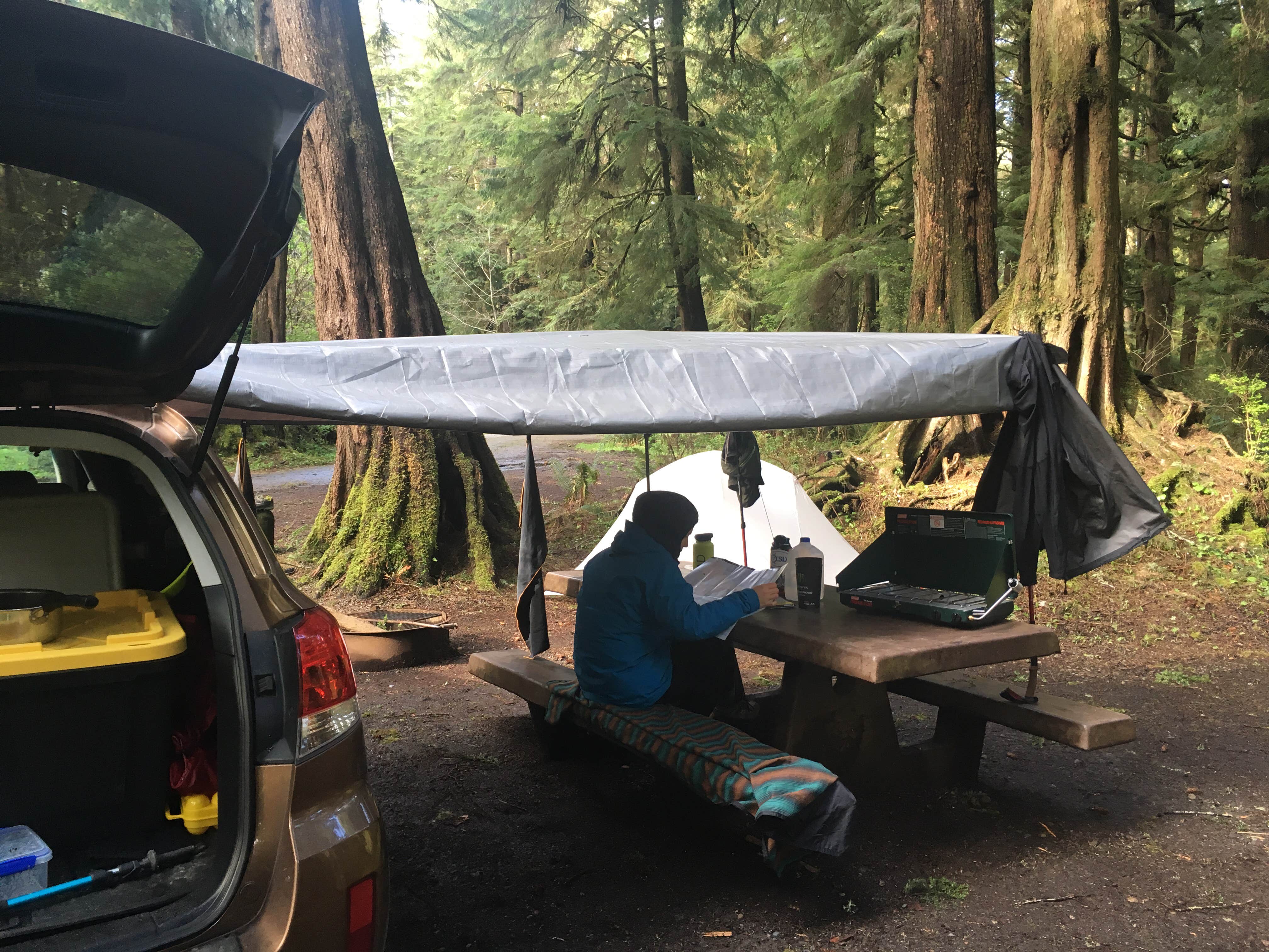 Camper submitted image from Mora Campground — Olympic National Park - 5