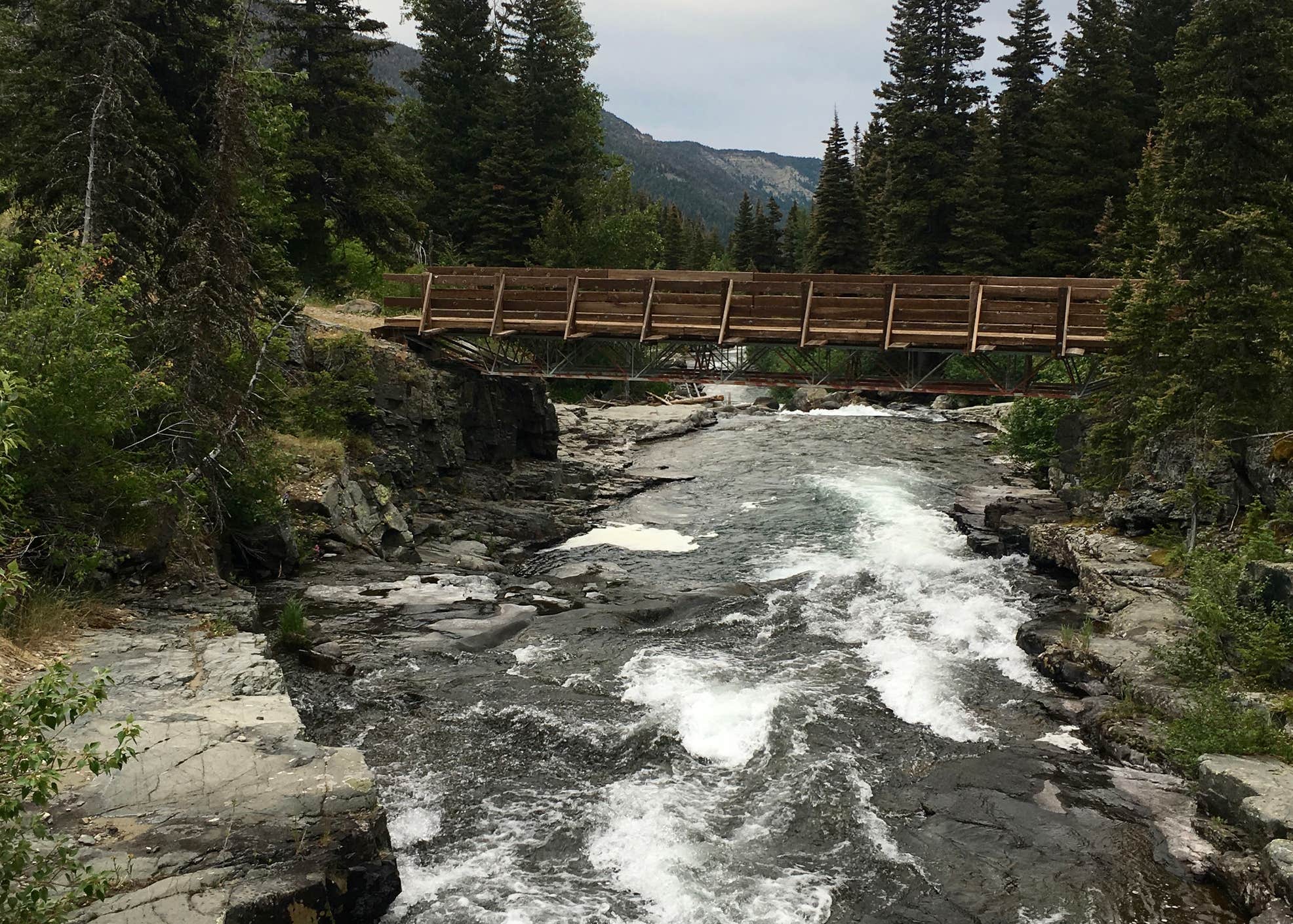 Halfmoon Campground Camping The Dyrt